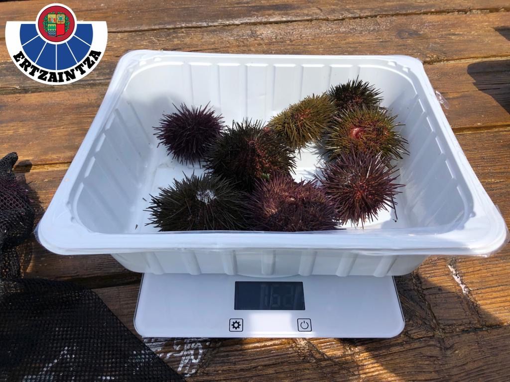 Fotos: La Ertzaintza abre diligencias contra tres buceadores por pesca ilegal en la costa de Armintza