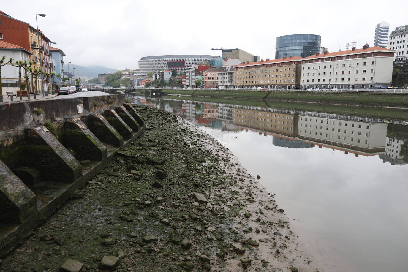 Fotos: Las mejores imágenes de la bajamar en la ría