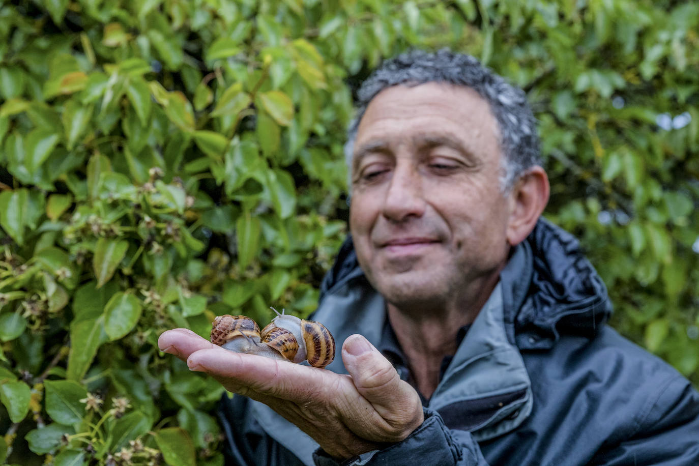 Fotos: El rebaño más dócil