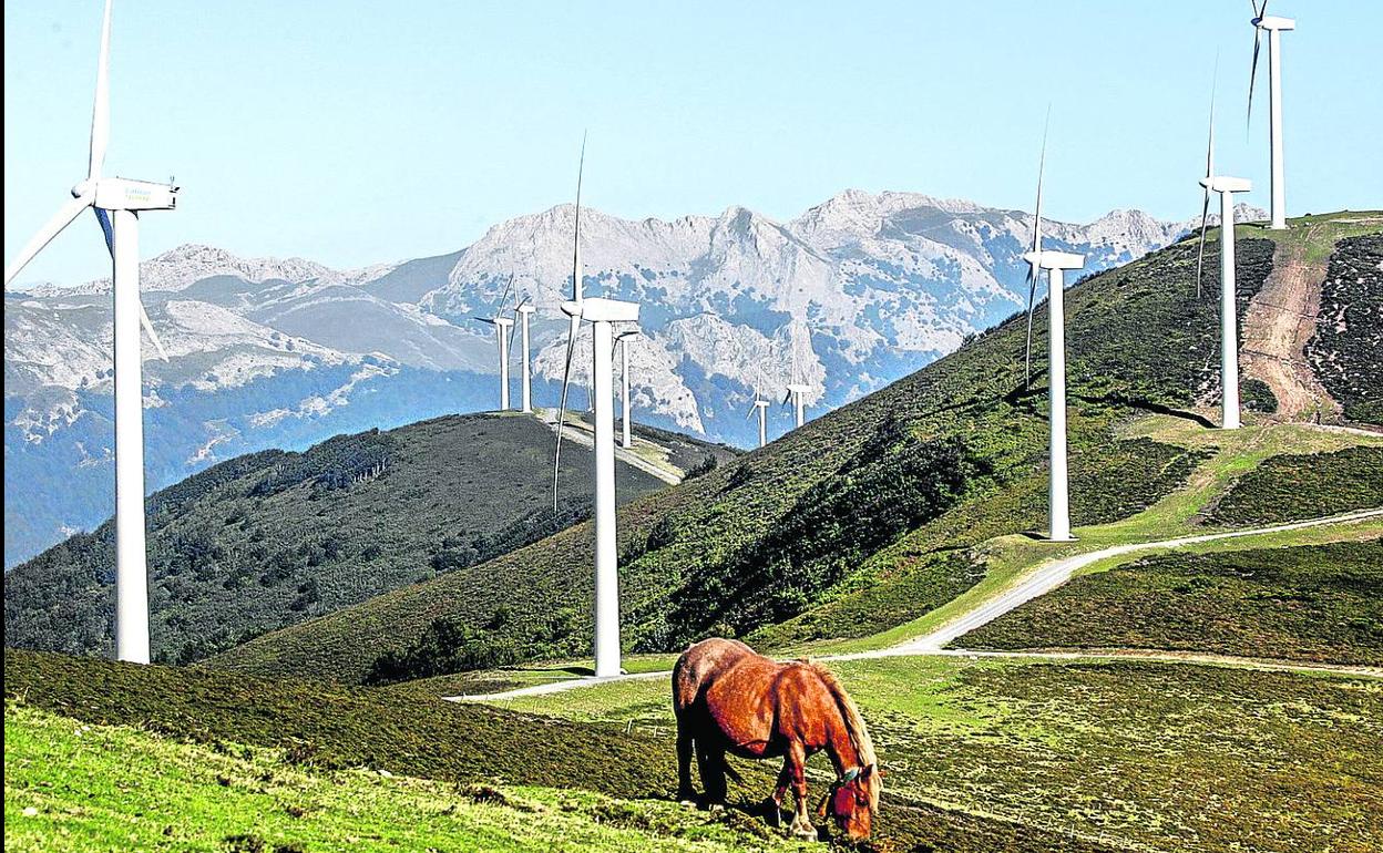 Euskadi cuenta con dos parques eólicos en Álava, territorio donde se proyectan otros cuatro y donde se estudiará un quinto. 