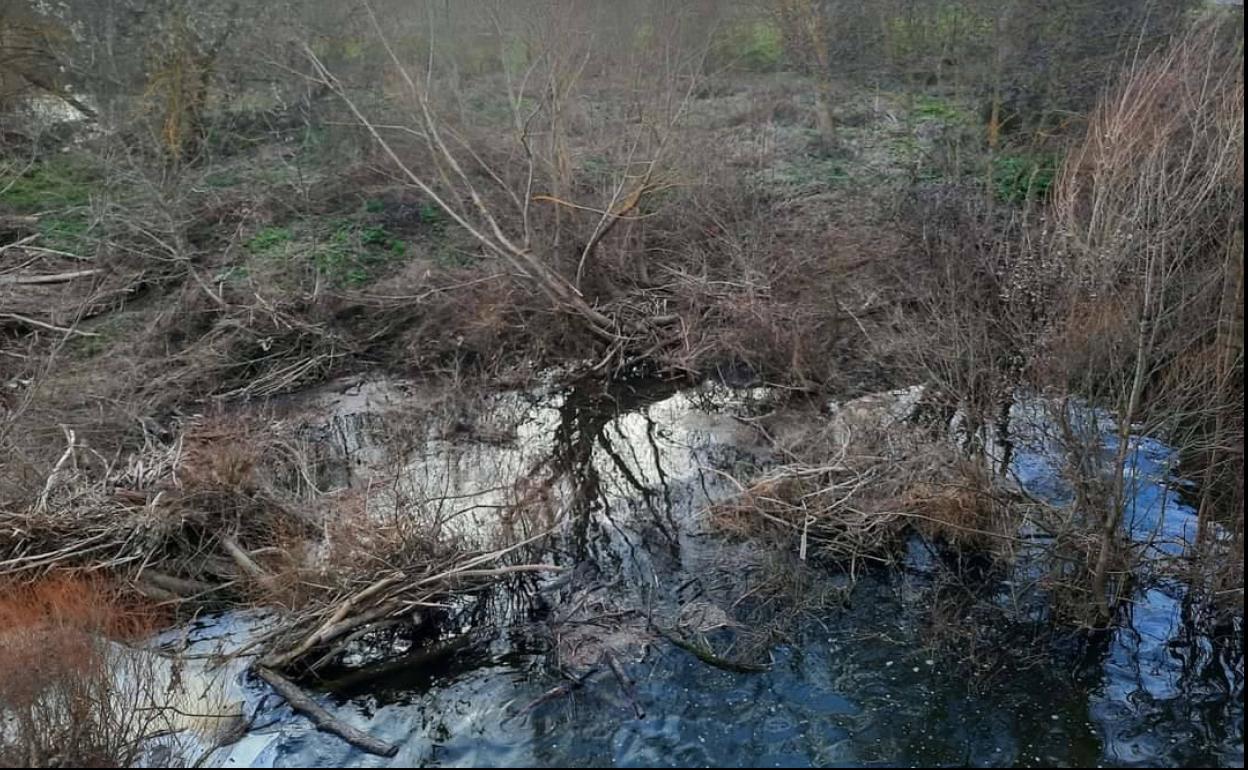 La suciedad se acumula en las riberas del Baias a su paso por Ribera Baja. 