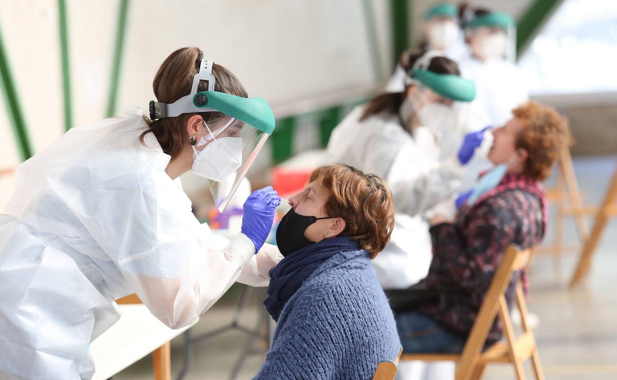 Última hora del coronavirus en Euskadi: Euskadi diagnostica 393 nuevos casos y suma sus mejores resultados en dos meses