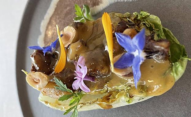 Cogollo a la brasa con manitas, avellanas y holandesa ácida.