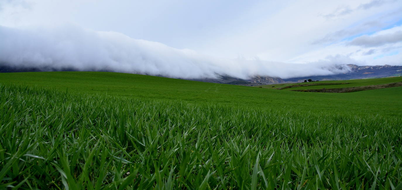 Fotos: La &#039;avalancha&#039; de nubes, un espectáculo visual en Rioja Alavesa