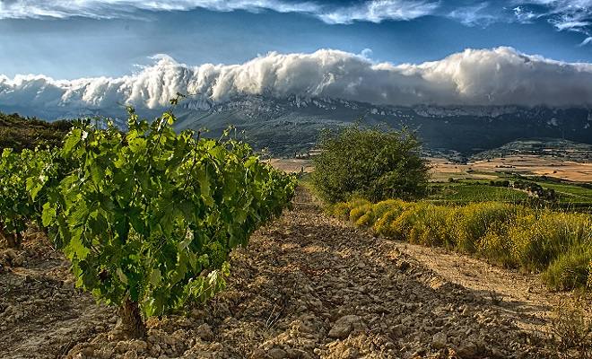 Fotos: La &#039;avalancha&#039; de nubes, un espectáculo visual en Rioja Alavesa