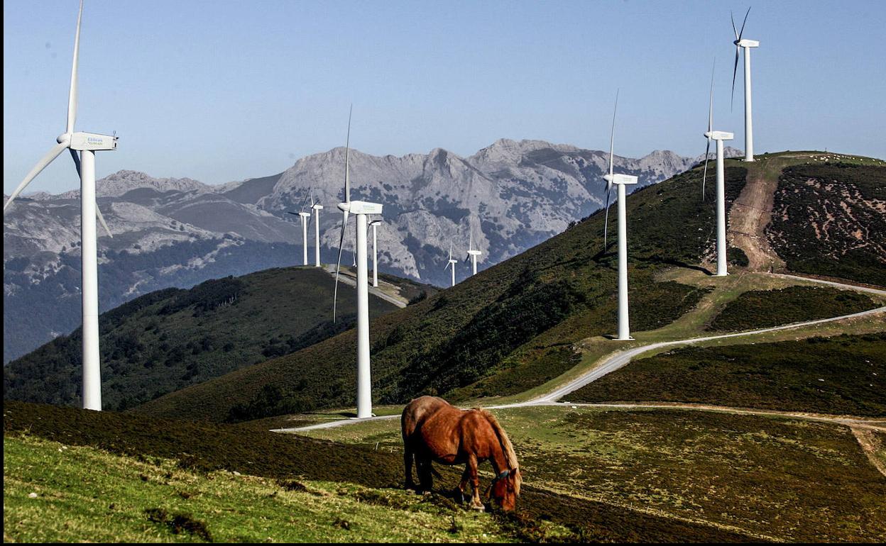 Los parques eólicos han generado reacciones en contra. 