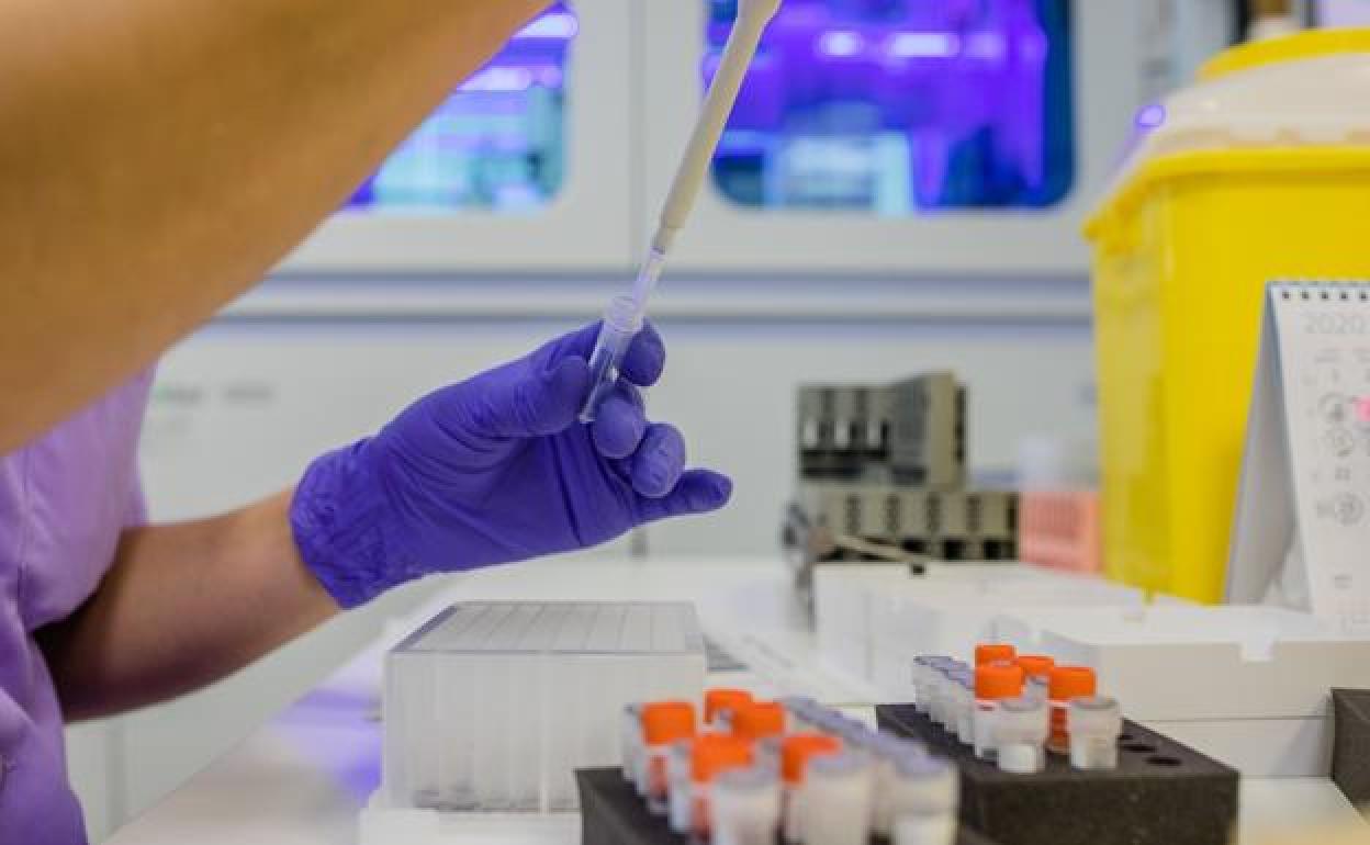 Datos Covid Euskadi: El estancamiento del virus complica ampliar los horarios de la hostelería