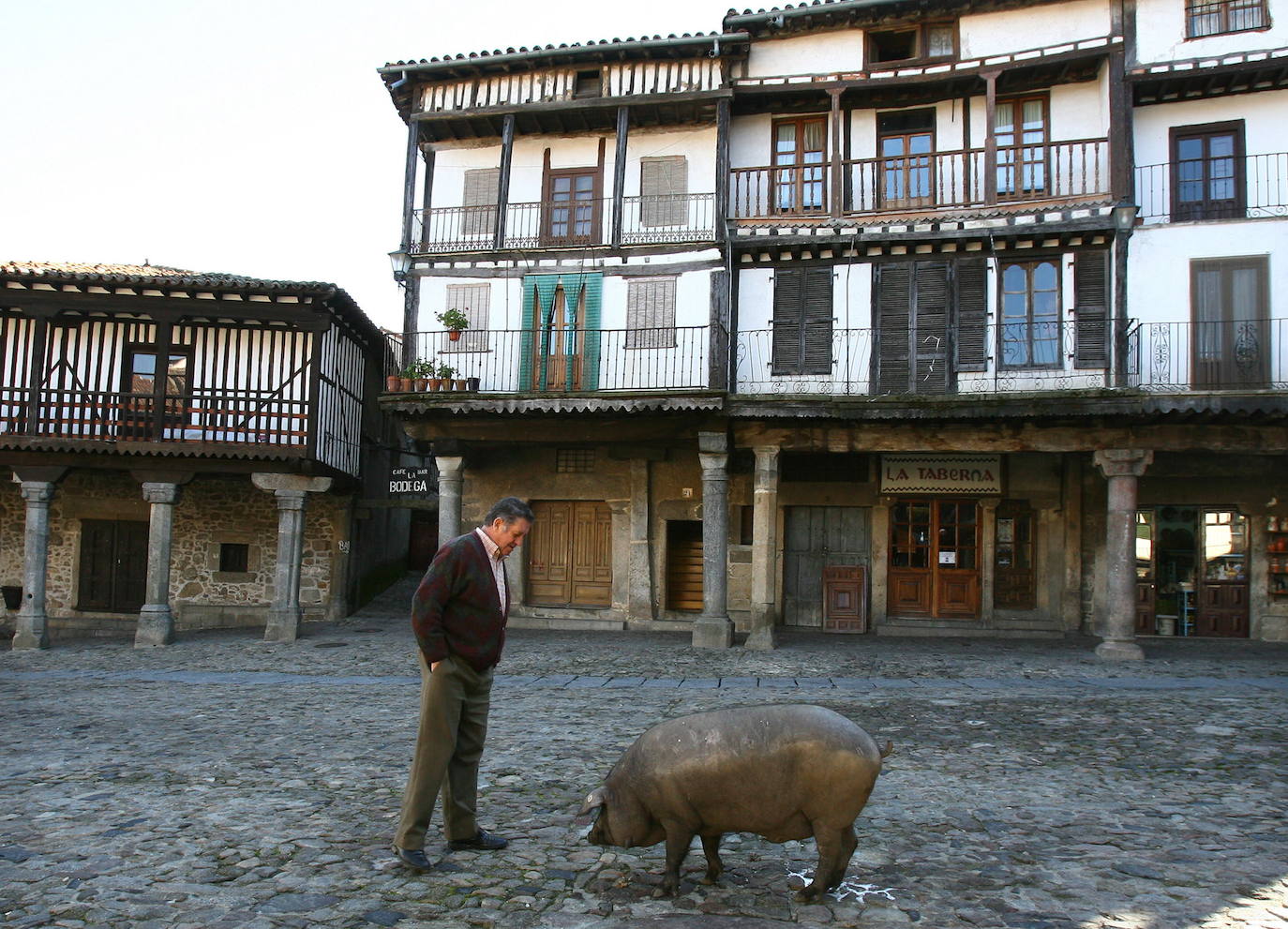 La Albrerca, Salamanca.