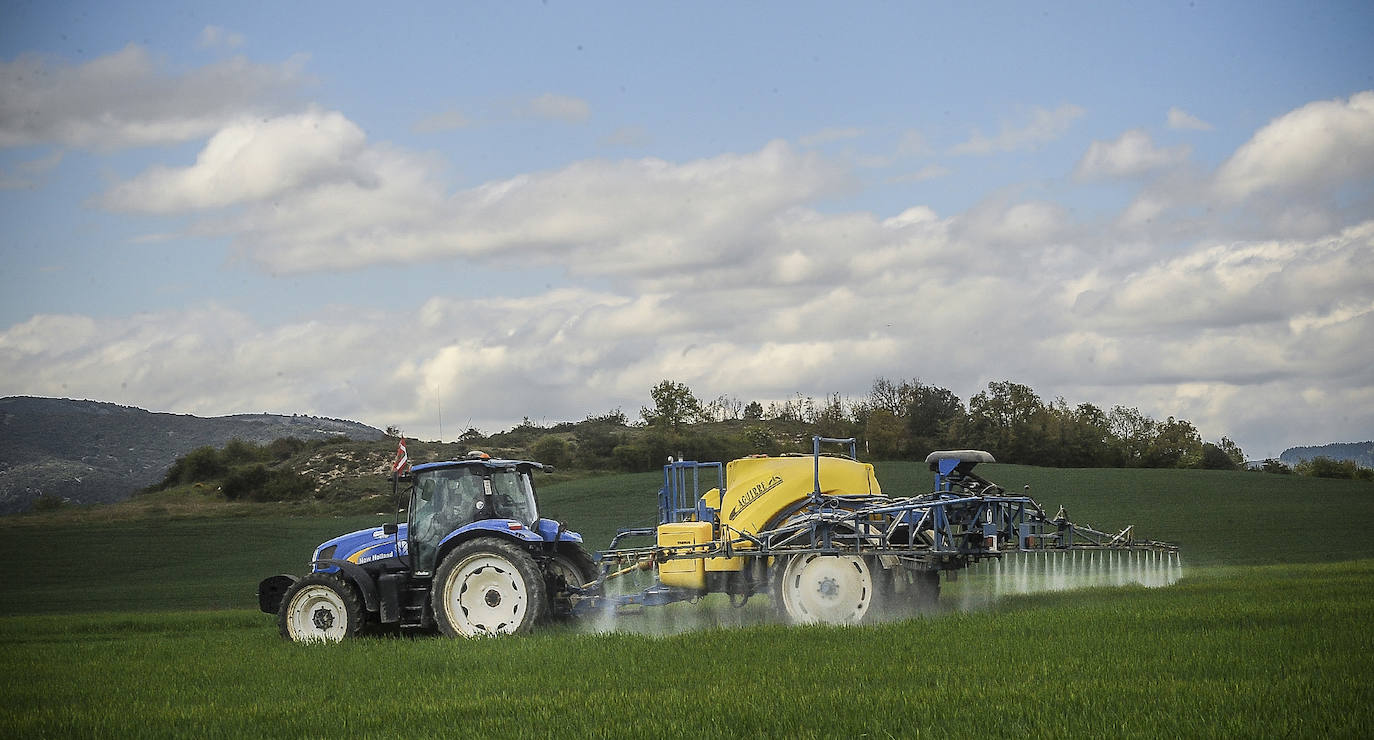 Imagen principal - «Los agricultores no envenenamos a la gente, la alimentamos»