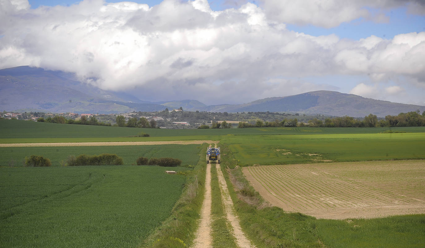Fotos: «Los agricultores no envenenamos a la gente, la alimentamos»