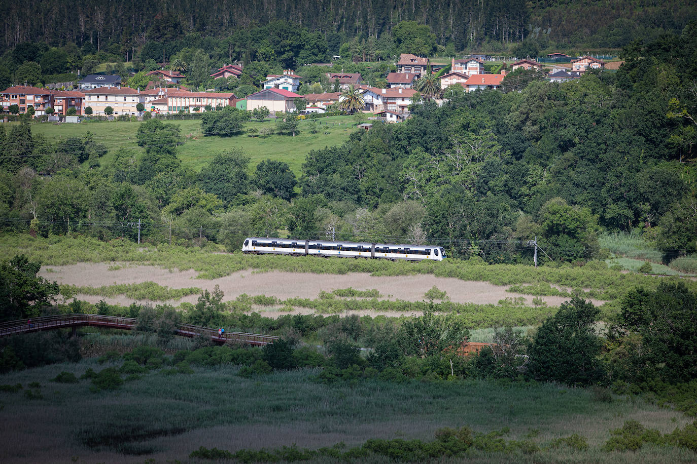 Imagen del tren sobre la marisma de Urdaibai, con el municipio de Forua al fondo. 