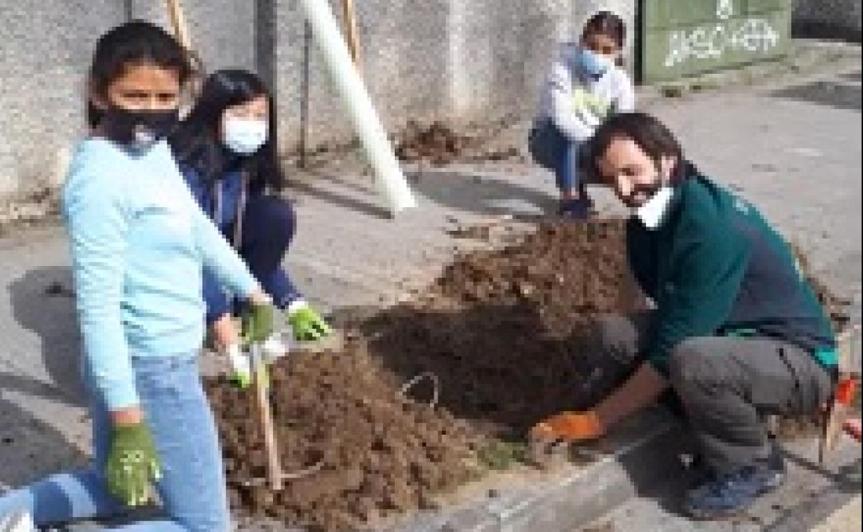 Larrabetzuko eskolako ikasleek zuhaitz inbaditzaile mota bat ordezkatu dute bertako espezieekin
