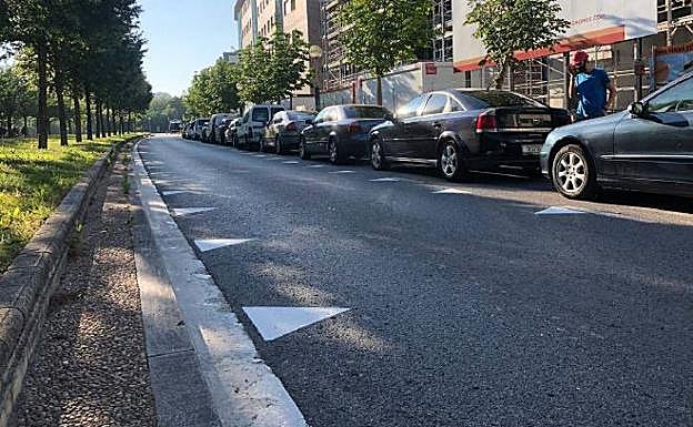 Los dientes de dragón en Zumabide. 