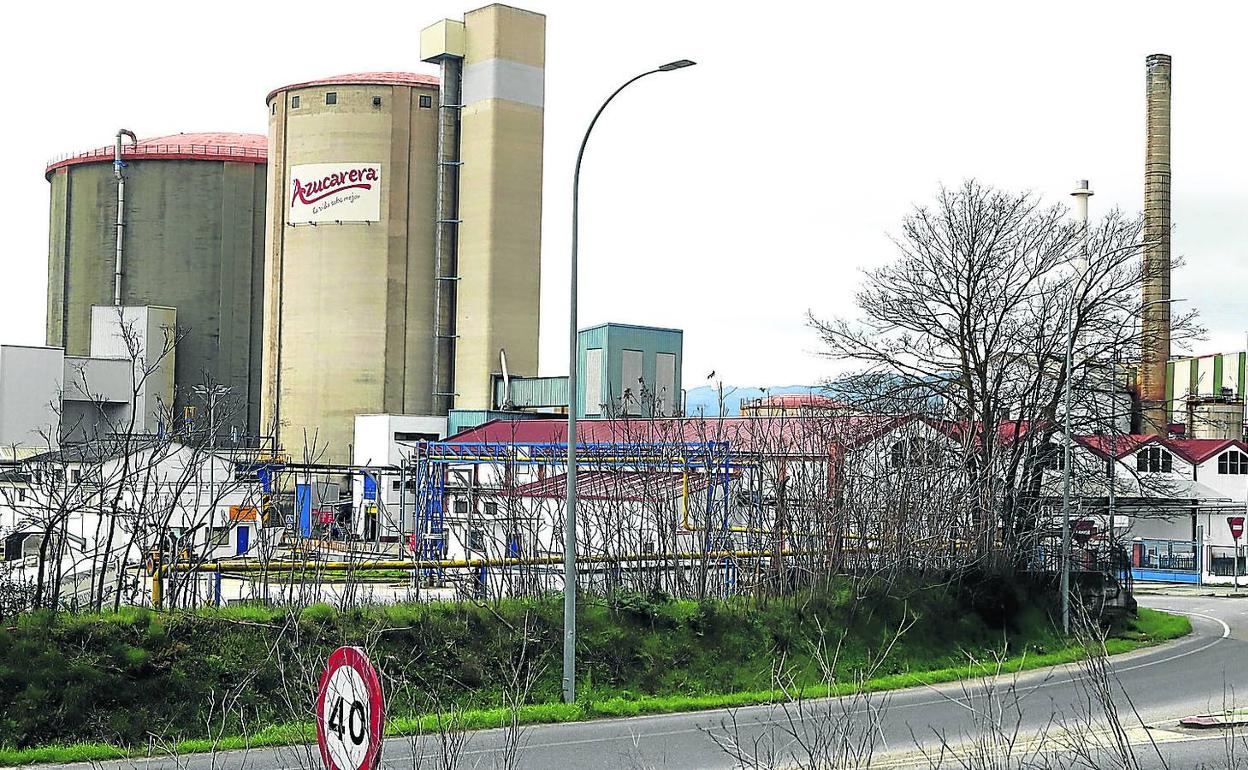 Azucarera cifra en 2.300 las hectáreas de remolacha que recogerá la próxima campaña