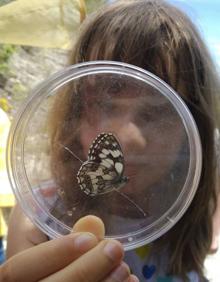 Imagen secundaria 2 - Los 14 oasis de mariposas de Álava