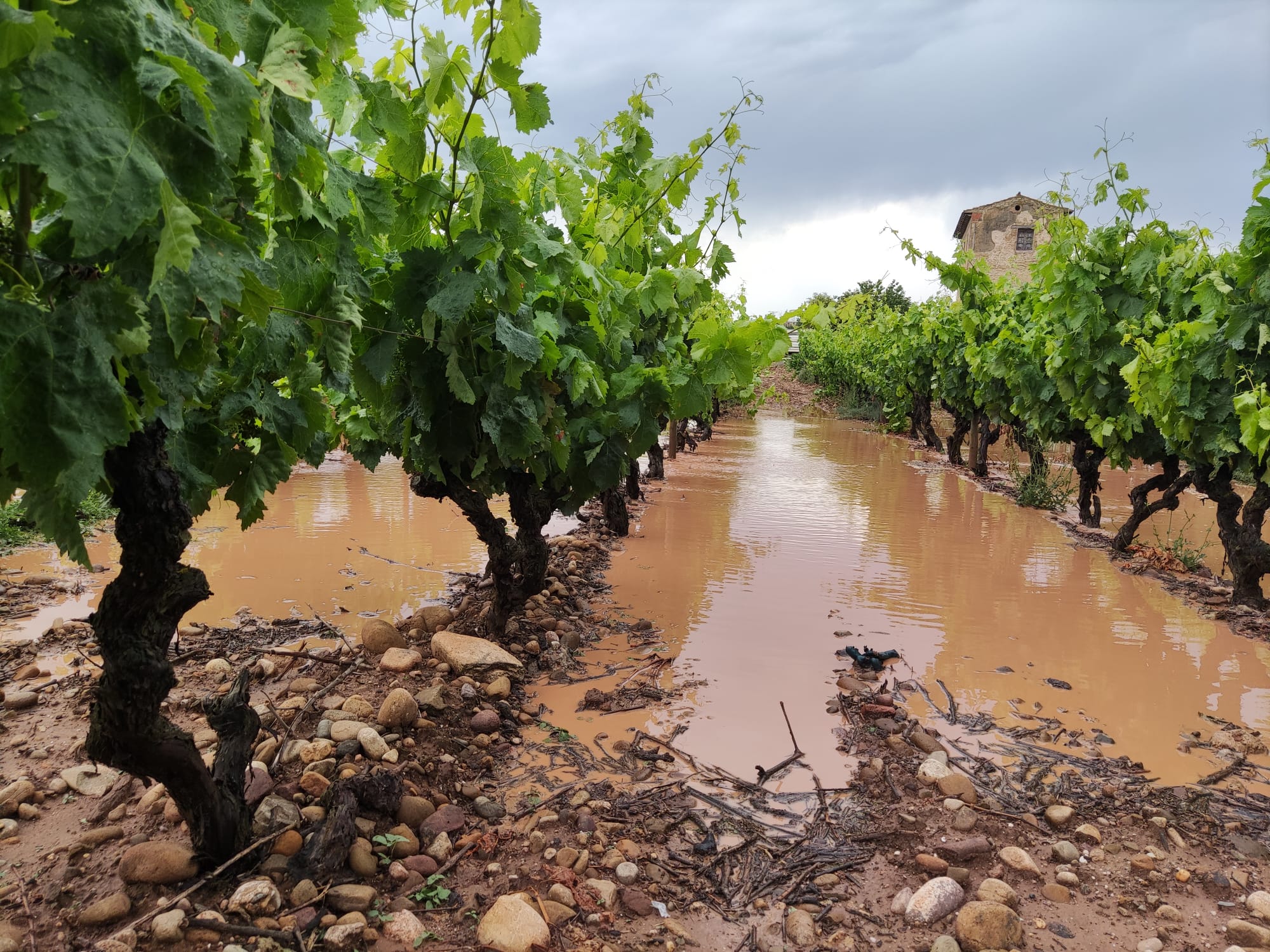 Fotos: Espectacular tormenta en La Rioja