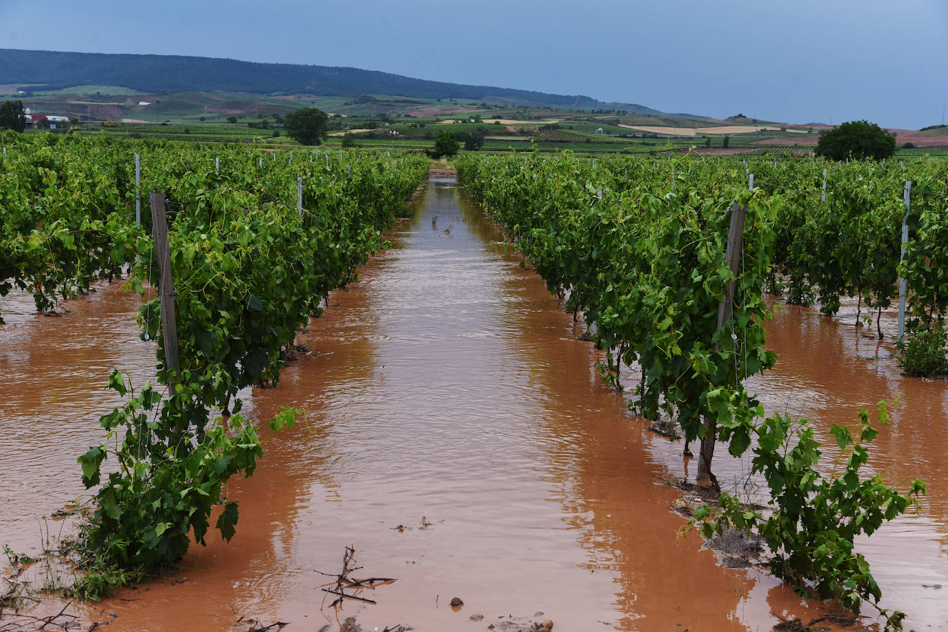 Fotos: Espectacular tormenta en La Rioja