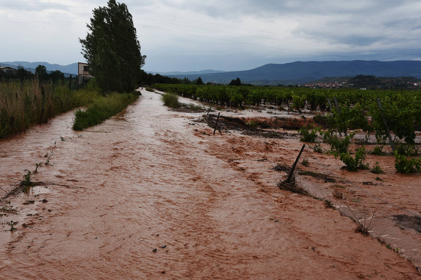 Fotos: Espectacular tormenta en La Rioja