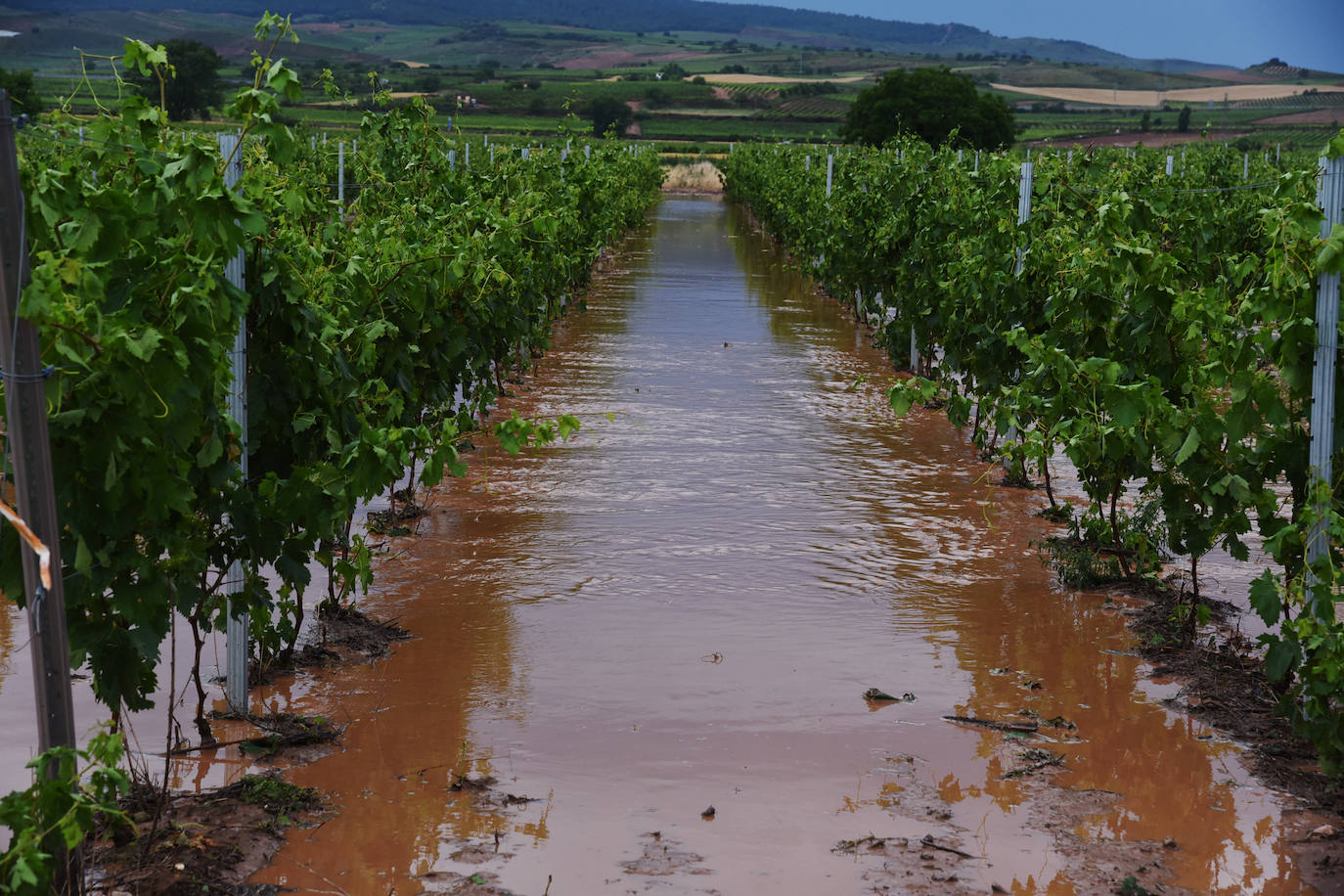 Fotos: Espectacular tormenta en La Rioja