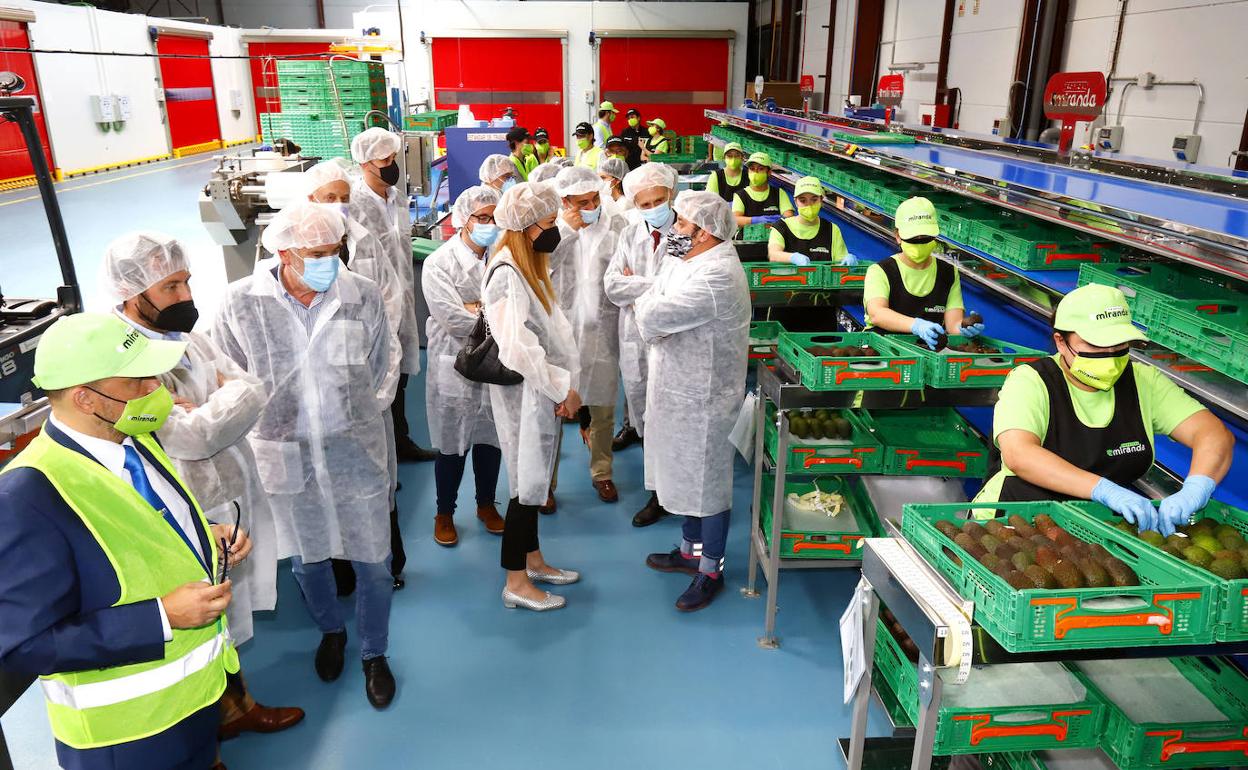 Políticos, empresarios y representantes de varias organizaciones recorrieron las instalaciones guiados por el CEO de la empresa, Javier Fernández. 