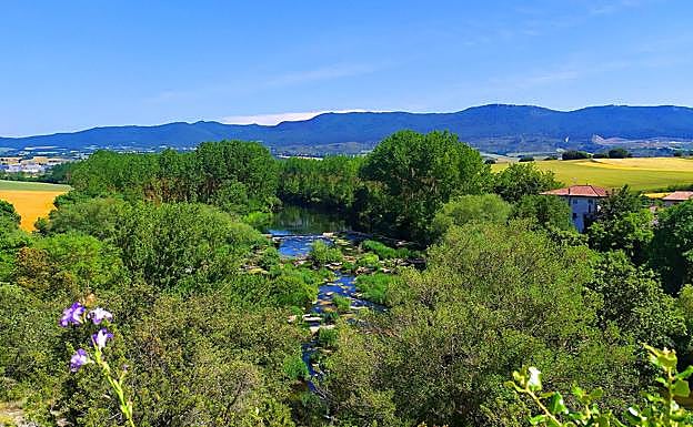 Qué ver en Iruña de Oca, rutas de senderismo, naturaleza y gastronomía