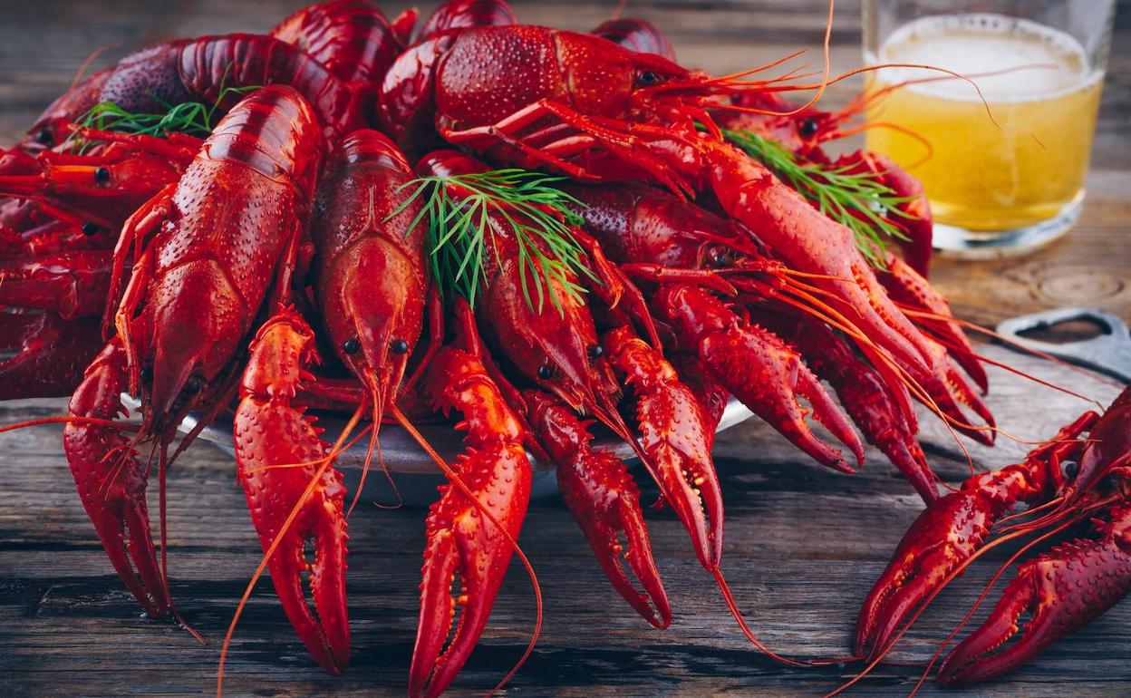 El cangrejo de río, un placer de verano