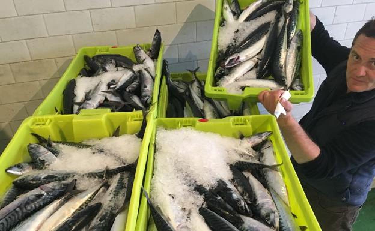 Los pescadores piden boicotear productos noruegos por apropiarse de cuota de verdel