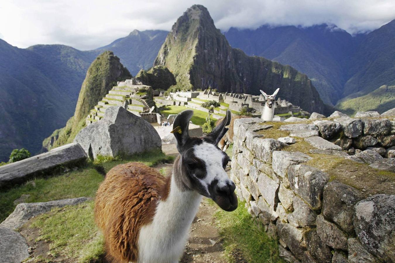 Machu Picchu (Perú): Esta mítica ciudad inca, ubicada en el corazón de los Andes peruanos, es otro de esos lugares mágicos en plena naturaleza que sin duda hay que ver al menos una vez en la vida, sobre todo por las espectaculares vistas que te esperan a tu llegada y por la historia y misterios que rodean a esta ciudad inca. Un paisaje de nubes y exuberantes cimas en el que la antigua arquitectura inca y el verde nuclear contrastan a la perfección. Un lugar mágico a 2.430 metros de altura, al que sin duda hay que subir al menos una vez en la vida y que forma parte de la lista de las siete maravillas del mundo.