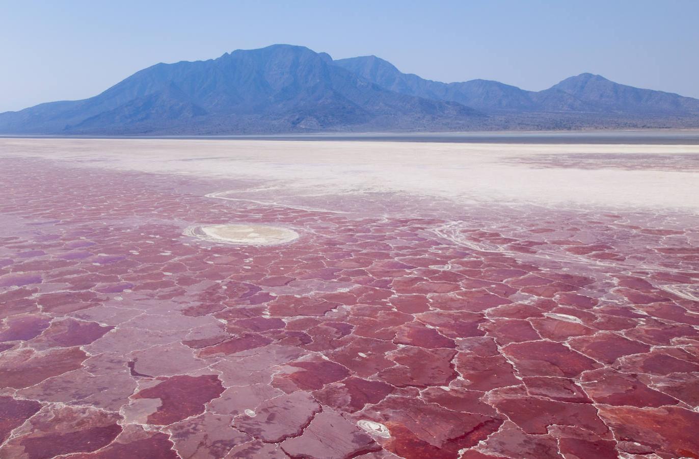 Lago Natrón (Tanzania): Este lago mortal ubicado en el norte de Tanzania, es uno de los lugares más intimidantes del planeta y caracterizado sobre todo por sus aguas teñidas de rojo. Una superficie de unos 800 km2 repleta de agua salada que se encuentra a una temperatura de hasta 60ºC. Una de las razones de que sus aguas además cuenten con numerosos compuestos químicos culpables de ese color rojo, se debe a su cercanía con el volcán Ol Doinyo Lengai, todo ello unido al alto contenido de sal y carbonato de sodio. Pero si por algo ha ganado fama este lago, es por uno de los reportajes fotográficos más controvertidos de los últimos años y que fue realizado por el fotógrafo Nick Brandt. Él fue el encargado de fotografiar algunos animales que murieron y quedaron petrificados en las cercanías del lago.