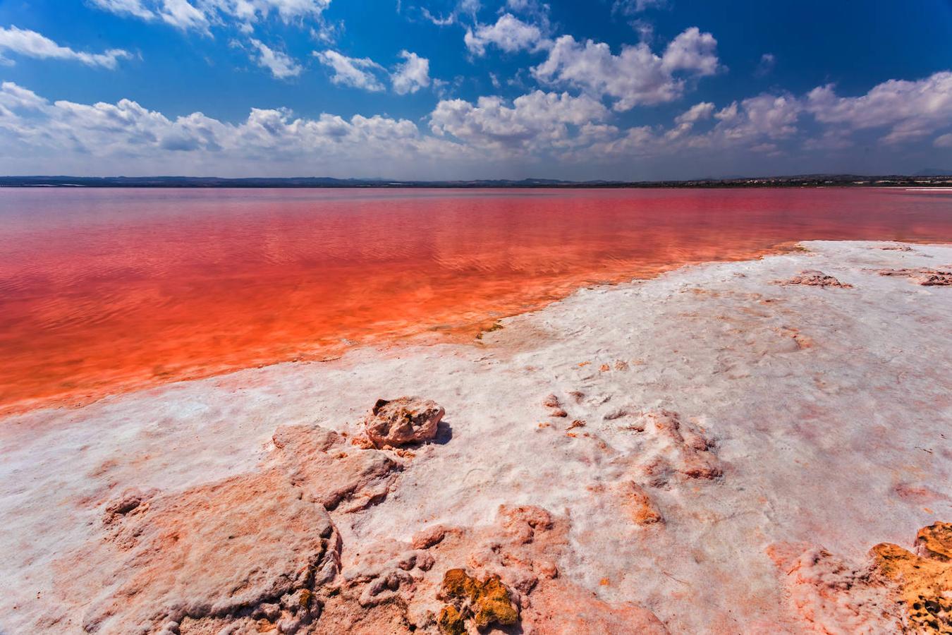 La laguna rosa de Torrevieja: Este es otro de los espectáculos inusuales de la naturaleza que merecen una visita y que en este caso encontrarás en la Costa Blanca. Una gran laguna rosa de 1.400 hectáreas que forma parte del Parque Natural de las Lagunas de la Mata y de Torrevieja y cuyo particular color se debe a un fenómeno de origen natural, único en España, que se produce debido a una bacteria que libera un pigmento de color rosa en aguas con gran concentración de sal. Y en este caso, cada litro de agua de este lago rosa contiene hasta 350 gramos de sal, lo que la convierte en uno de los lagos más bonitos y productivos de Europa. Eso sí, por muy apetecible que pueda parecer bañarse, el baño está prohibido en esta laguna. 