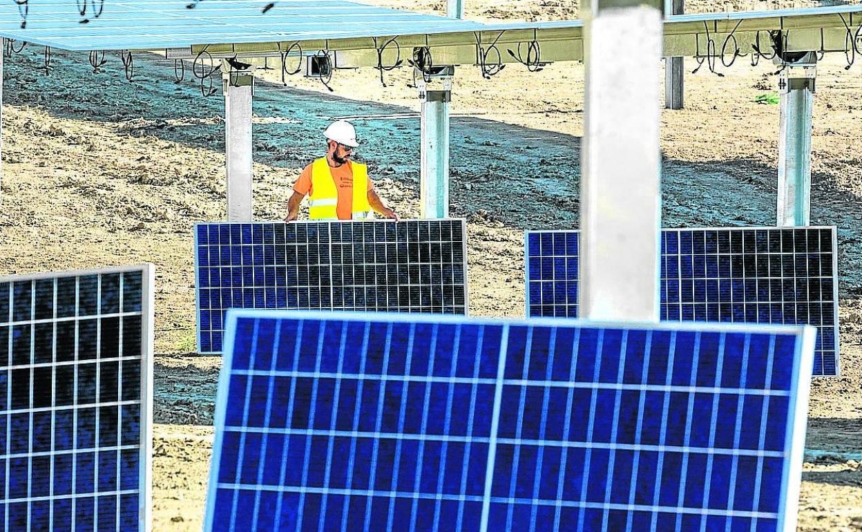 Solaria hará ofertas a particulares tras el 'no' de Durana a su huerto solar