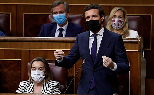 El líder del PP, Pablo Casado, durante la sesión de control del Congreso 