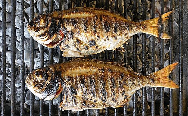 Besugos sobre la brasa.