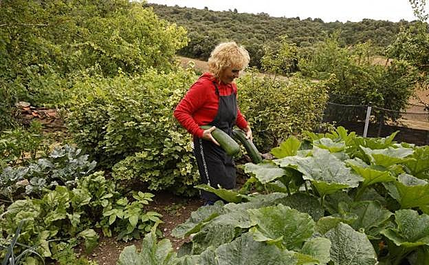 En el alojamiento rural Azala cuentan con su propio huerto y también tienen gallinas.