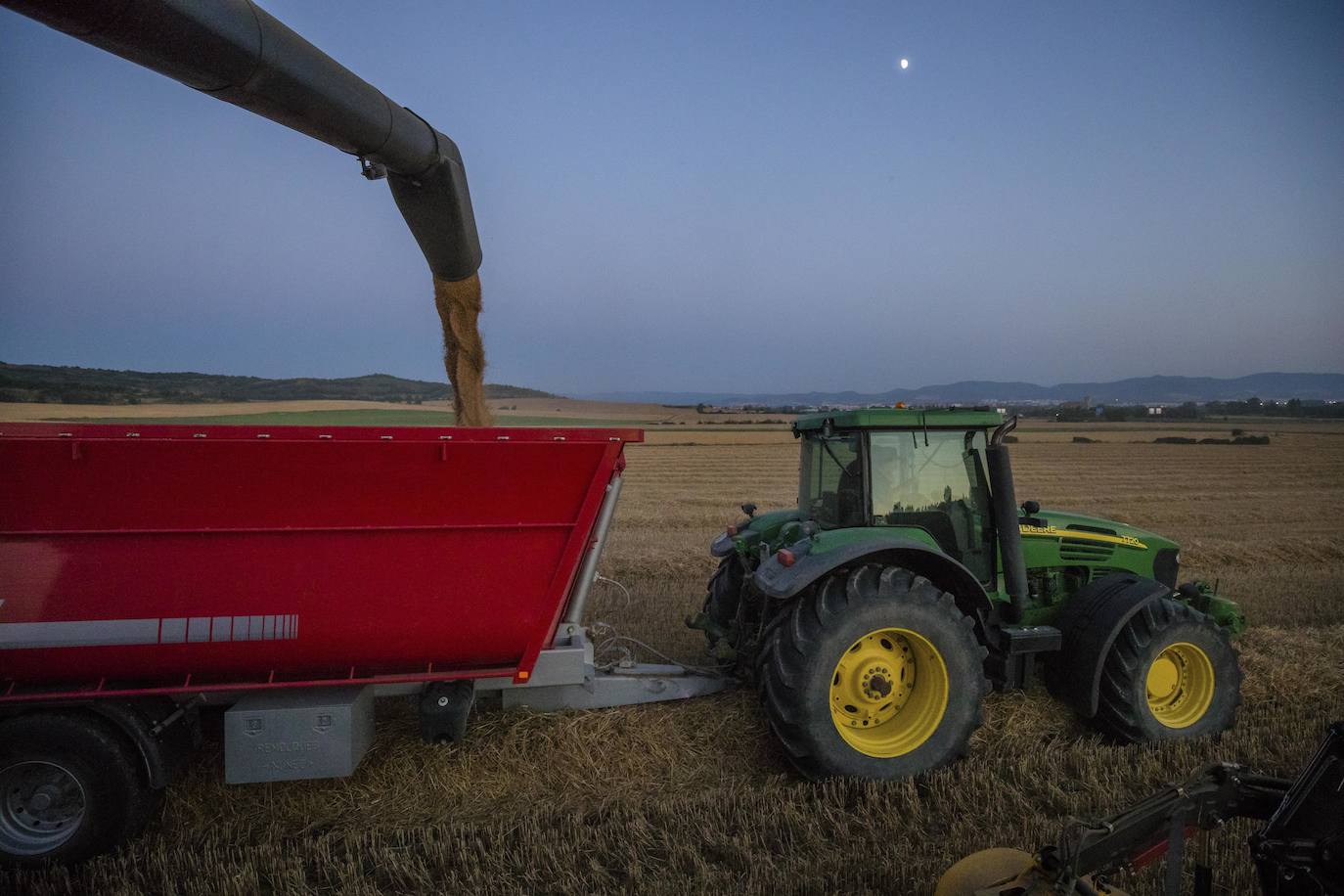 La máquina expulsa, a chorro, sobre el remolque el grano recolectado 