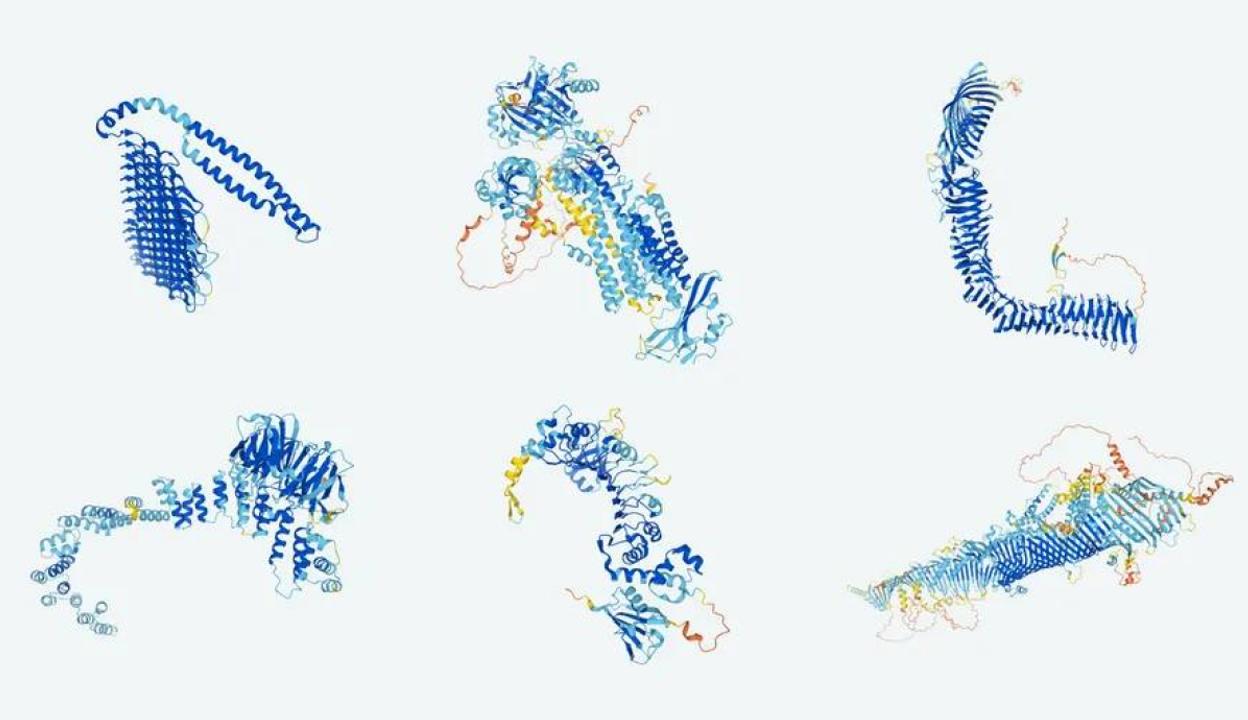 De izquierda a derecha y de arriba abajo, proteínas de la bacteria de la tuberculosis, del parásito de la malaria, de la 'E. coli', de un nematodo, de una especie de levadura y de la mosca de la fruta. 