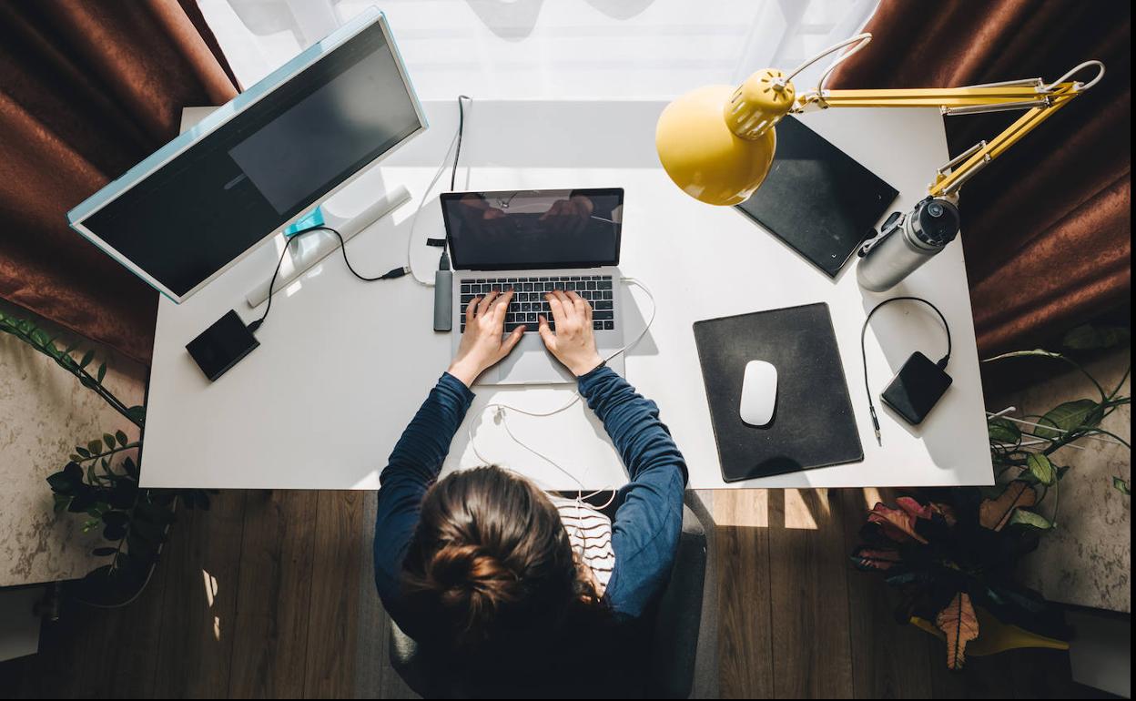 'Telelanaren oinarrizko lexikoa' argitaratu du Euskaltzaindiak