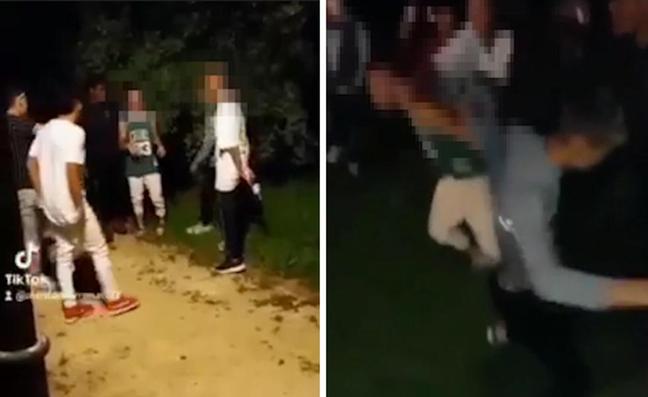 Paliza a un joven en Amorebieta: Ya son ocho los detenidos, cinco de ellos menores, por la paliza grupal de Amorebieta