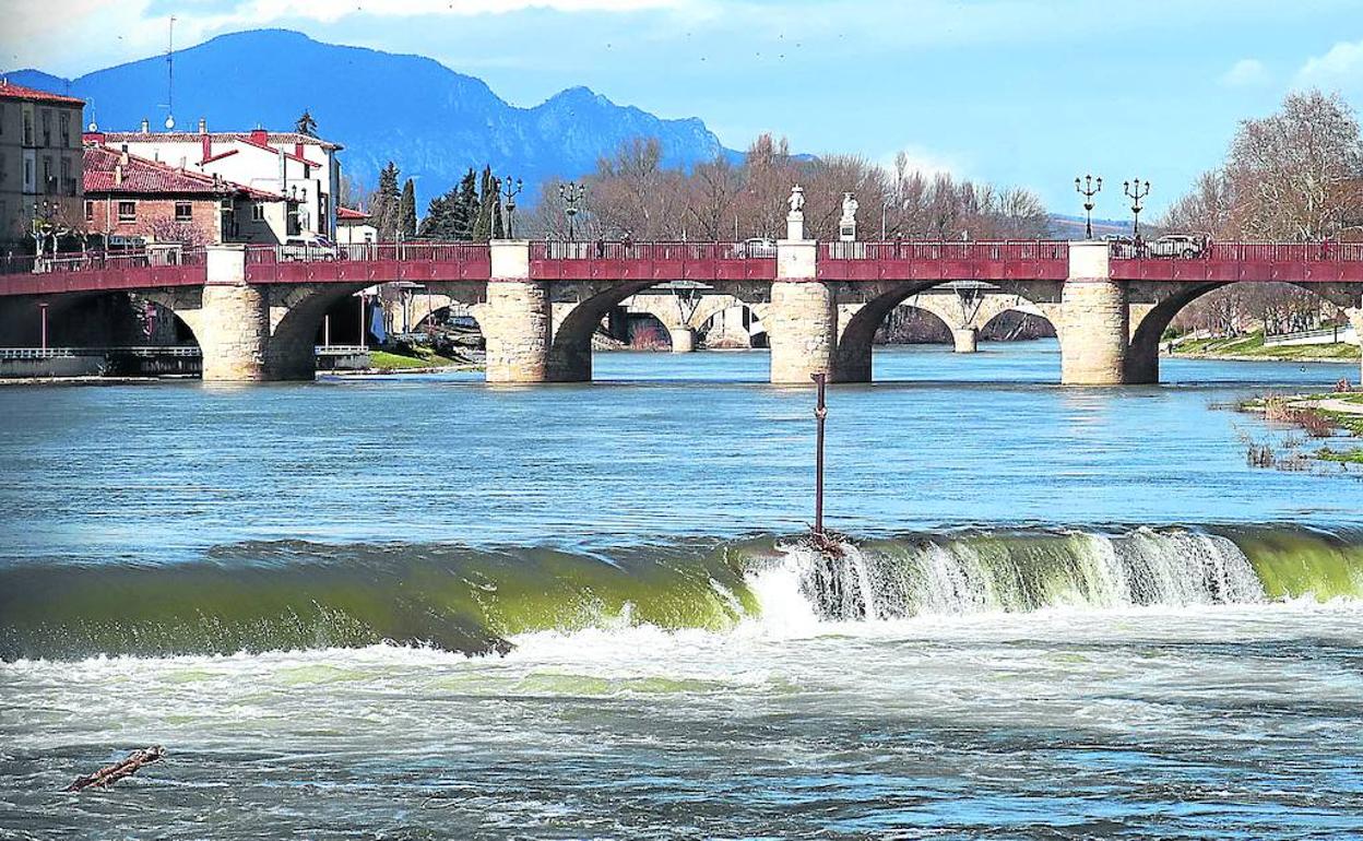 En toda el área del aluvial de la ciudad se han tomado hasta 26 muestras de las que 22 estaban contaminadas. 