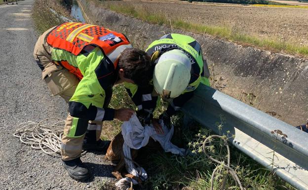 Imagen del rescate de esta mañana.