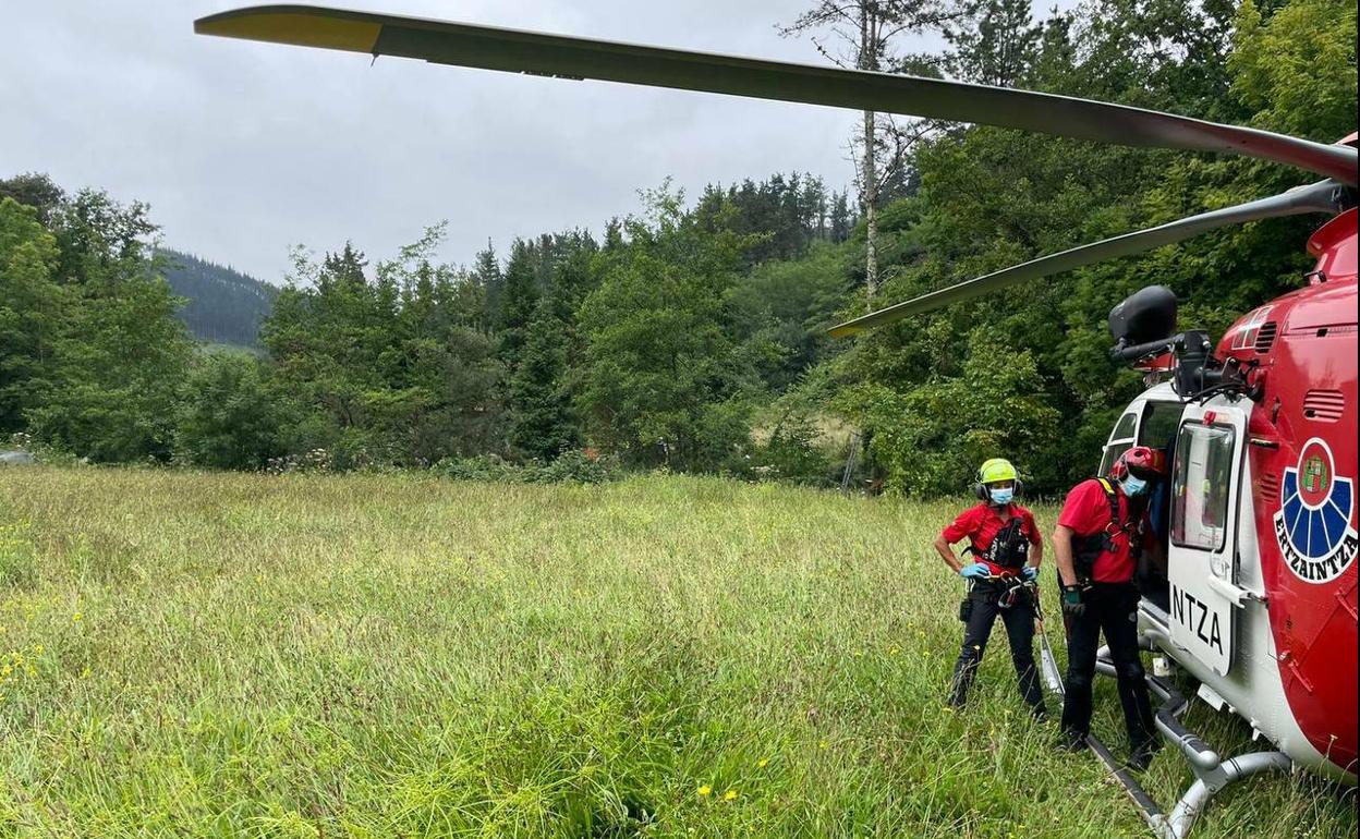 Muere un vecino de Aulesti al caerle la rama de un árbol que estaba cortando  | El Correo