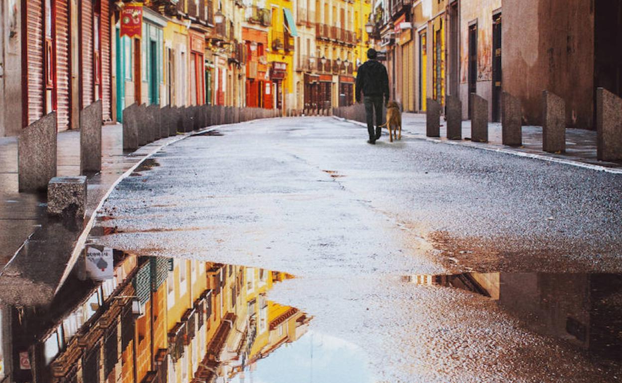 'Los vencejos', de Fernando Aramburu