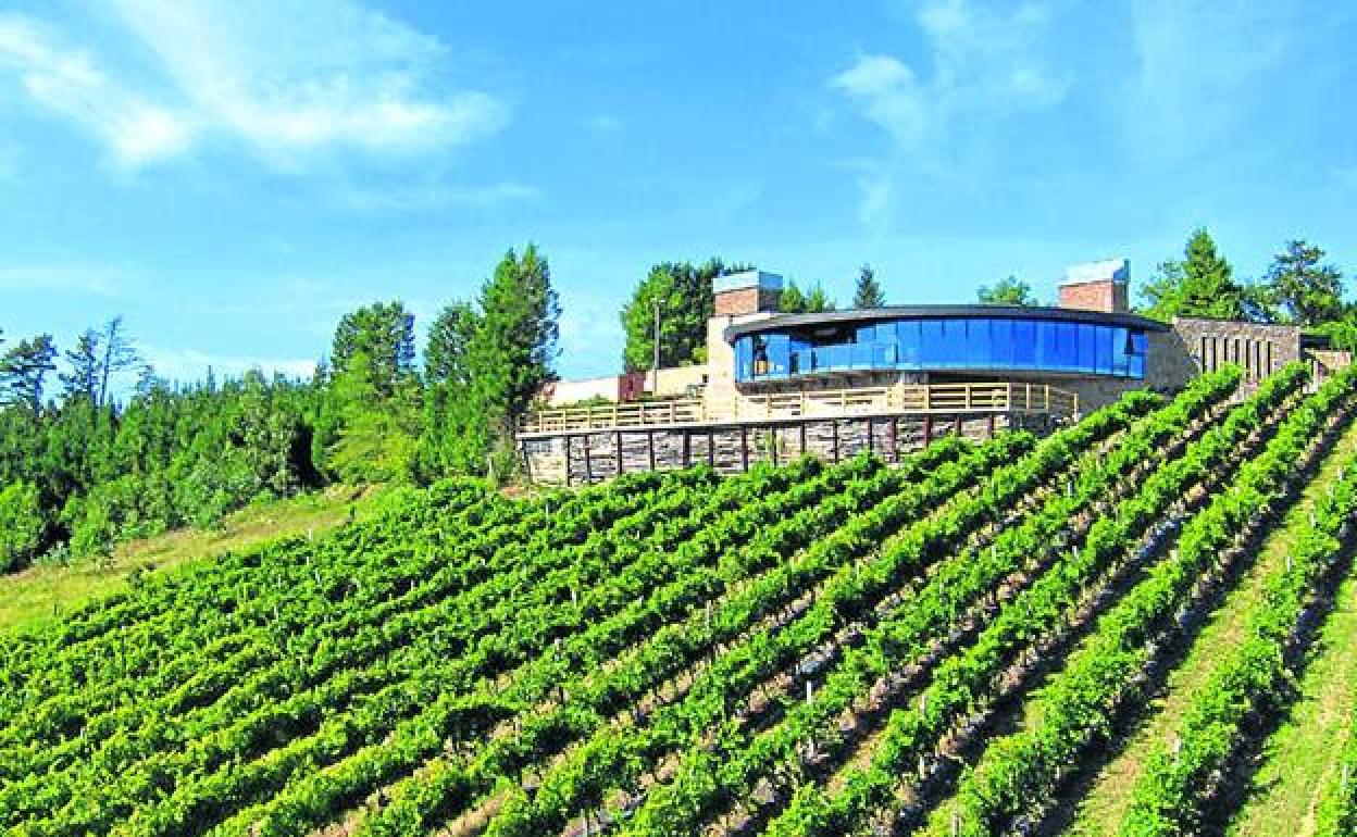 La bodega Berroja de Muxika acogerá en su entorno varias actividades. 