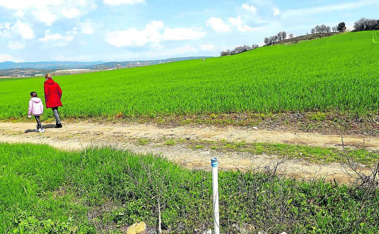 Algunos de los terrenos en los que está previsto instalar placas solares. 