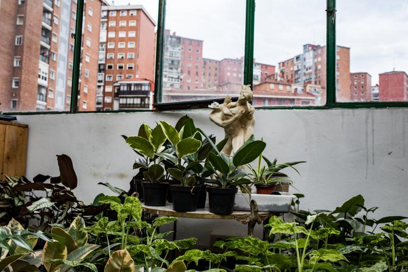 Fotos: Nace en Bilbao una innovadora comunidad digital para los amantes de las plantas