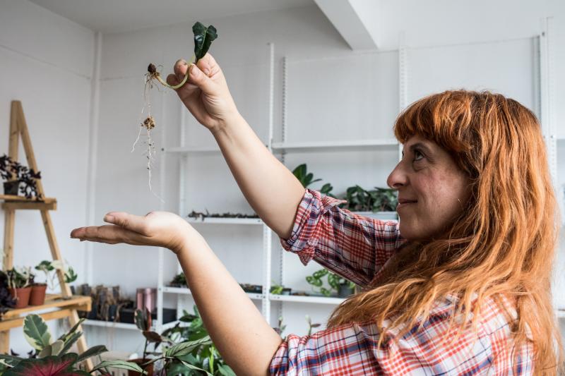 Fotos: Nace en Bilbao una innovadora comunidad digital para los amantes de las plantas