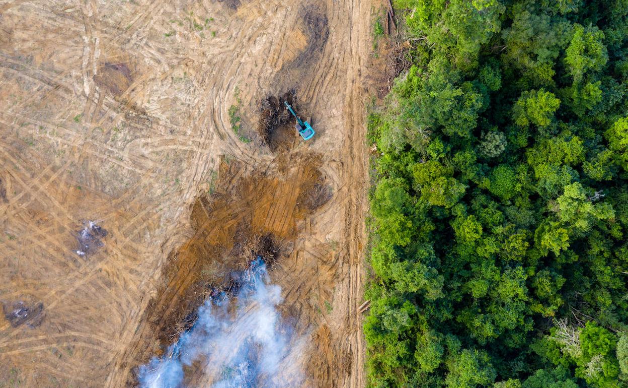 Biktimen gehiengoa, % 70a baso ezberdinen soiltzea ekiditeko lanean zebiltzan. 