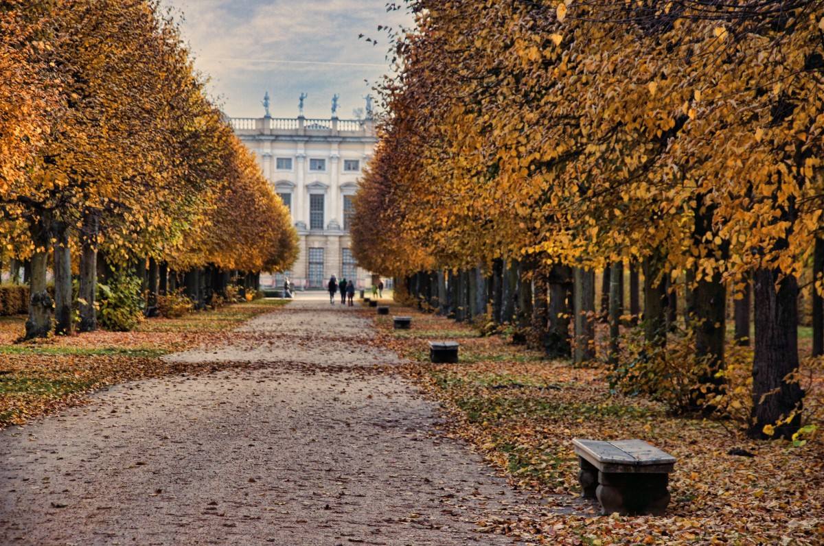 Berlín (Alemania) 