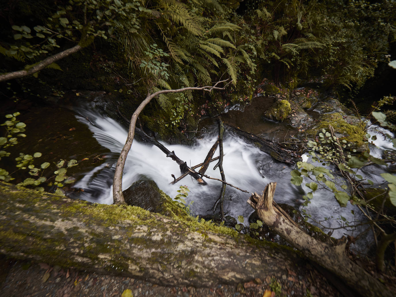 Fotos: Un viaje mágico al valle del Baztán en otoño