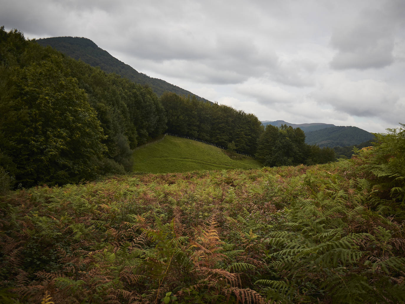 Fotos: Un viaje mágico al valle del Baztán en otoño